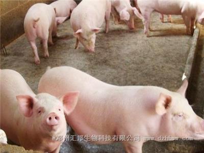 豬糞有機肥發酵過程如何不發臭？