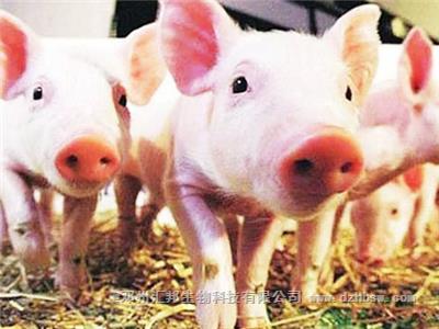 豬糞怎么發酵制作成有機肥